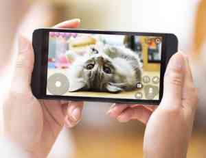 Pawbo Wi Fi Pet Cam and Treat Dispenser 04 975x750