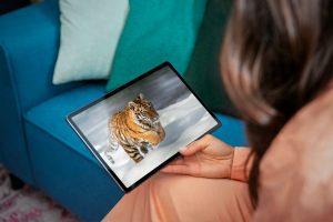 Lenovo Tab P11 Pro Lifestyle tiger