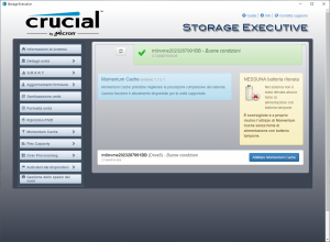 crucial storage executive 8