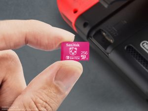 Lifestyle MicroSDXC For Nintendo Switch Fortnite.256GB.CuddleTeam.LR