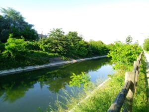 IMG20240518182414