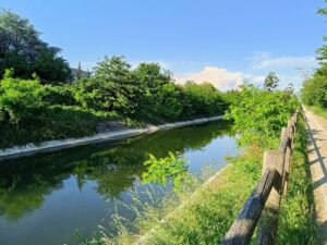 IMG20240518182421