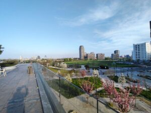 IMG20250403181224
