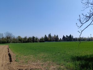 IMG20250411120154