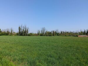 IMG20250411120709