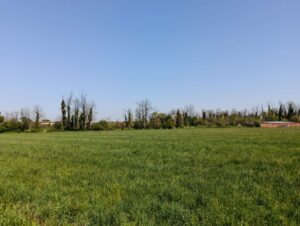 IMG20250411120712
