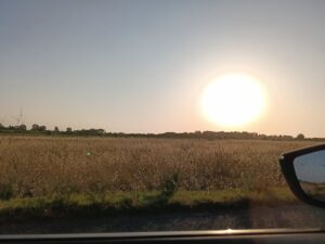IMG20250616200559 1