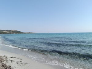 IMG20250622095208