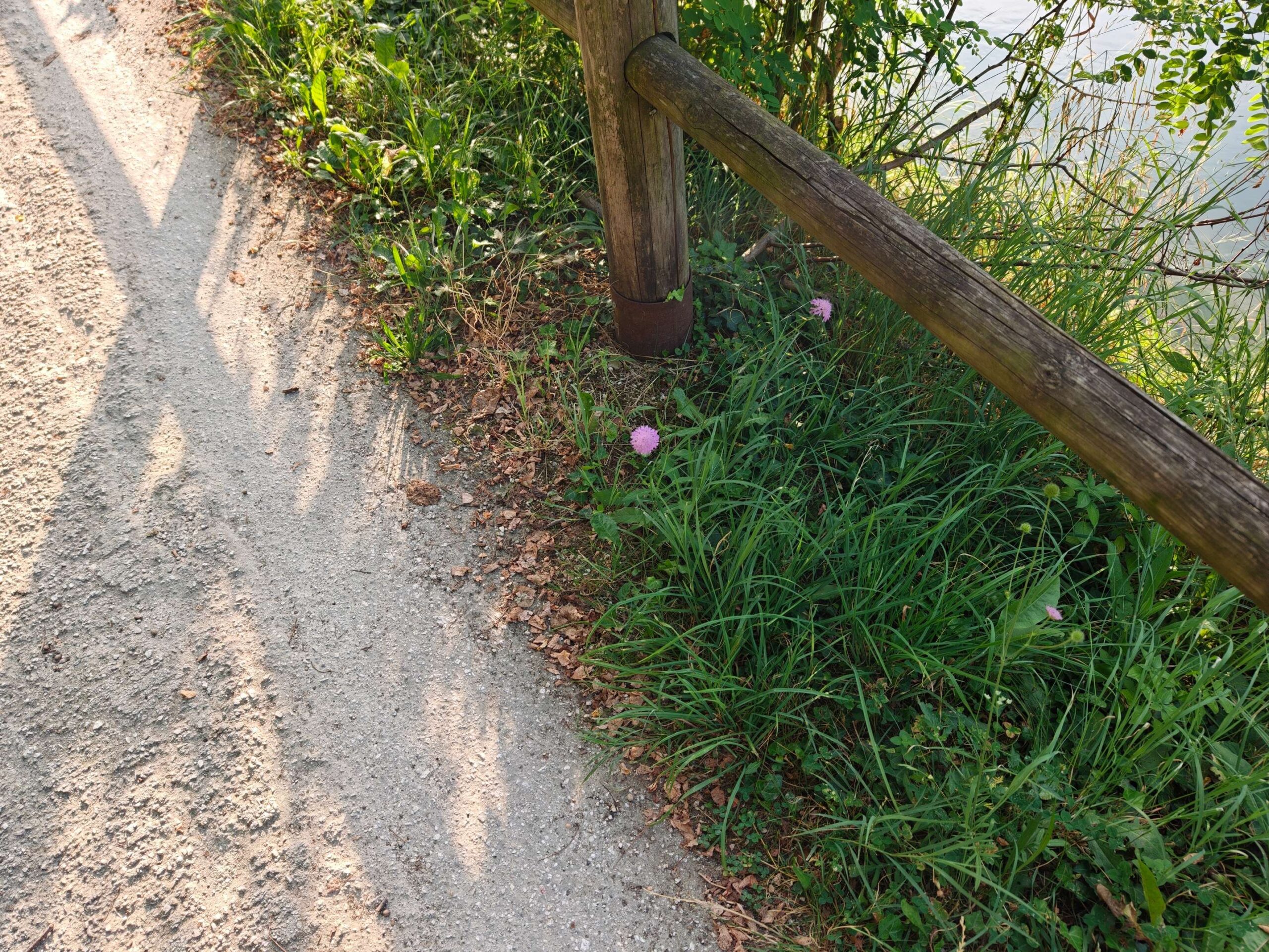 Recensione OPPO Find X8 Ultra - Ridefinire la Fotografia Mobile e l'Eleganza Flagship 142 Before image