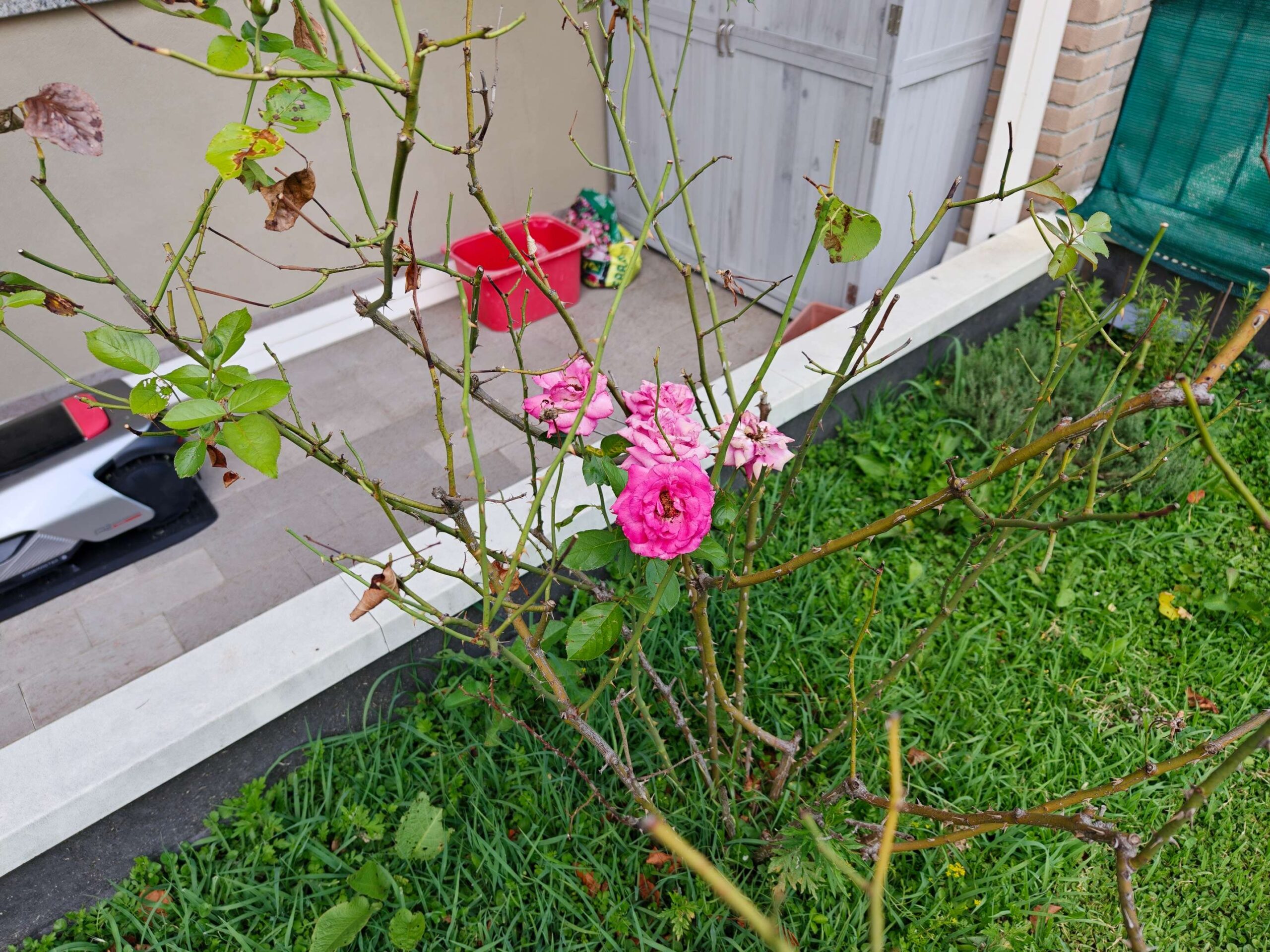 Recensione OPPO Find X8 Ultra - Ridefinire la Fotografia Mobile e l'Eleganza Flagship 144 Before image