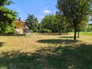 IMG20250707121625