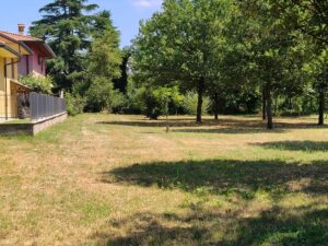 IMG20250707121629