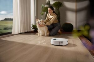 Pet Interaction宠物互动