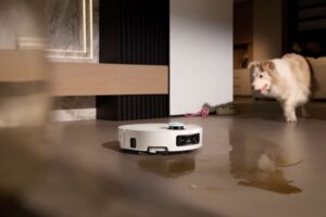 Pet Interaction宠物互动（液体版）