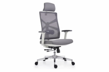 HOLLUDLE Shaper Chair