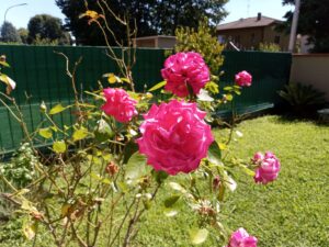 IMG 20250803 114928 473
