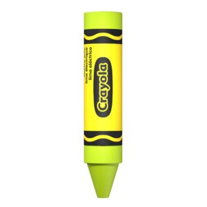 SNDK Crayola USB Electric Lime Top Capped HR