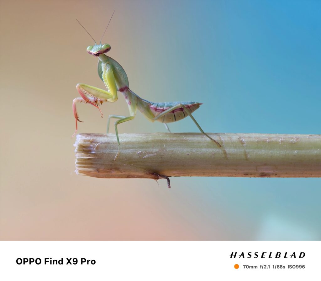 OPPO Find X9 PRO: una nuova frontiera dell'imaging mobile 9 Find X9 Pro tele macro