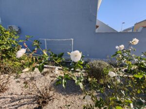 Recensione OPPO Find X9: potenza e autonomia senza ingombro 167 IMG20251228113711