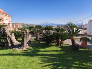 Recensione OPPO Find X9: potenza e autonomia senza ingombro 163 IMG20251228120554