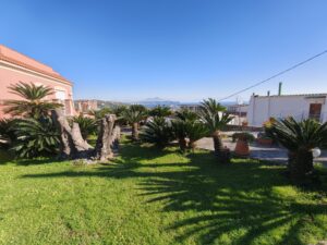 Recensione OPPO Find X9: potenza e autonomia senza ingombro 169 IMG20251228120601