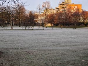 Recensione realme GT 8 Pro - Il top di gamma che punta tutto sulla sostanza 149 IMG20260127082346