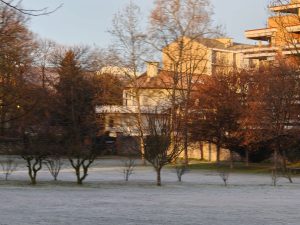 Recensione realme GT 8 Pro - Il top di gamma che punta tutto sulla sostanza 150 IMG20260127082348