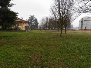 Recensione realme GT 8 Pro - Il top di gamma che punta tutto sulla sostanza 144 IMG20260202082545