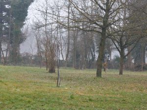 Recensione realme GT 8 Pro - Il top di gamma che punta tutto sulla sostanza 152 IMG20260202082550