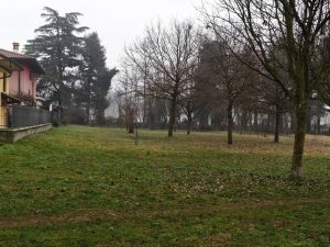 Recensione realme GT 8 Pro - Il top di gamma che punta tutto sulla sostanza 148 IMG20260202082601