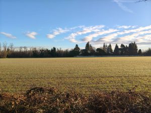 Recensione OPPO Reno 15 F: equilibrio tra design, autonomia e prestazioni quotidiane 127 IMG20260218081534