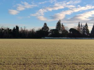 Recensione OPPO Reno 15 F: equilibrio tra design, autonomia e prestazioni quotidiane 128 IMG20260218081539