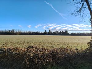 Recensione OPPO Reno 15 F: equilibrio tra design, autonomia e prestazioni quotidiane 137 IMG20260218081543