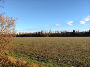 Recensione OPPO Reno 15 F: equilibrio tra design, autonomia e prestazioni quotidiane 129 IMG20260218081604