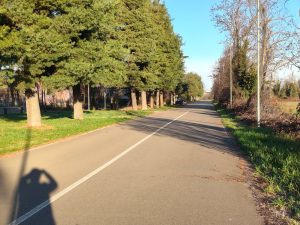 Recensione OPPO Reno 15 F: equilibrio tra design, autonomia e prestazioni quotidiane 132 IMG20260218081647