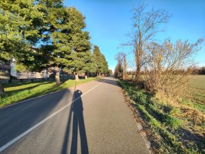 Recensione OPPO Reno 15 F: equilibrio tra design, autonomia e prestazioni quotidiane 138 IMG20260218081650