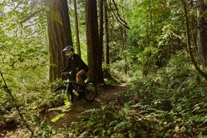 Running urbano in inverno: come allenarsi in sicurezza tra smog, pioggia e buio 16 T REX PRO BIKER 3492