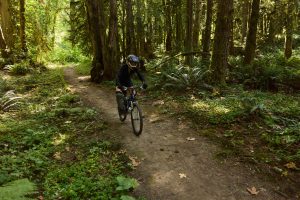 Running urbano in inverno: come allenarsi in sicurezza tra smog, pioggia e buio 6 T REX PRO BIKER 8684