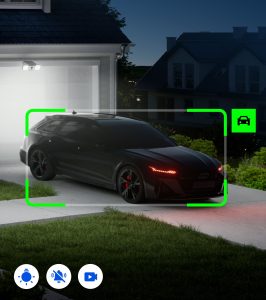 AI Detection 1