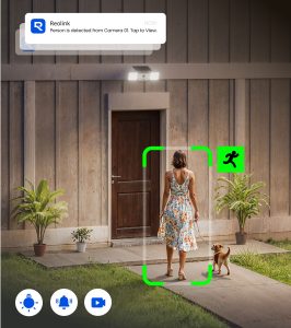 AI Detection 3