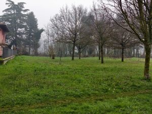 IMG 20260311 081605