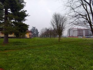 IMG 20260311 081611