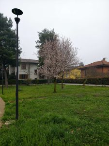 IMG 20260311 081744