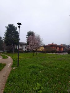 IMG 20260311 081759