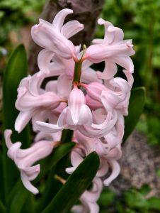 IMG 20260311 085134