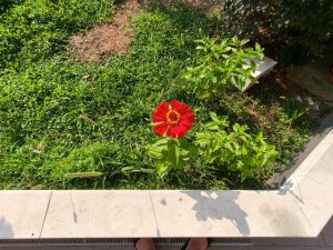 IMG20260728092247