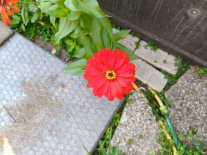 IMG20260728092332