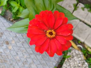 IMG20260728092334