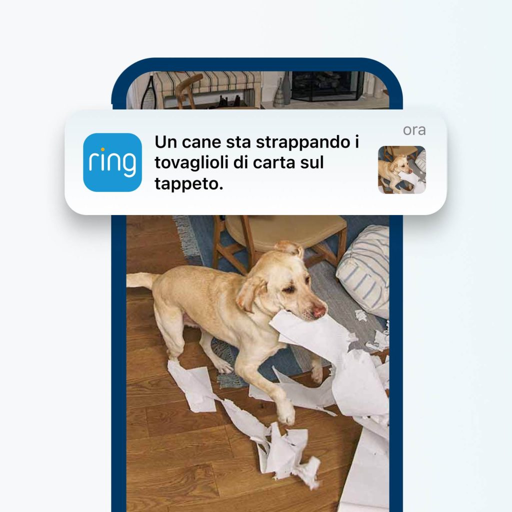 Ring introduce nuove funzionalità intelligenti e un nuovo standard di crittografia per la sicurezza domestica 5 Ring Protect AI Video Description Cane
