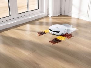 Freo 20 Mopping2
